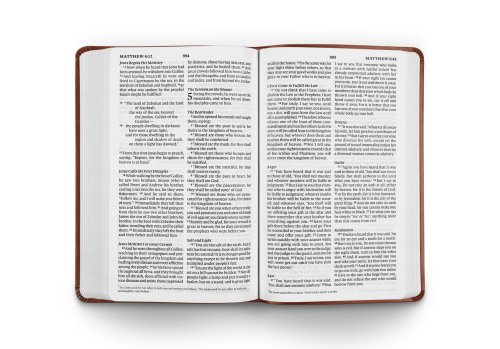 ESV Large Print Value Thinline Bible (TruTone, Tan, Ornament Design)