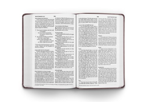 ESV Large Print Value Thinline Bible (TruTone, Mahogany, Border Design)