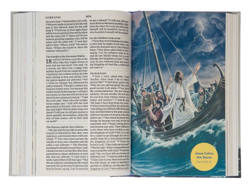 ESV Holy Bible for Kids Grey Hardback Large Print Illustrated Presentation Page Full-Colour Maps