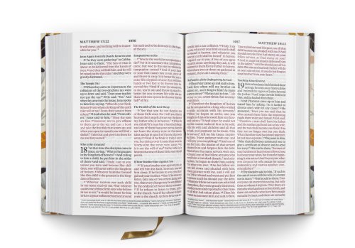 ESV Large Print Compact Bible, Red Letter (Hardcover, Spring Bloom Design)