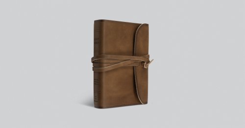 ESV Large Print Compact Bible