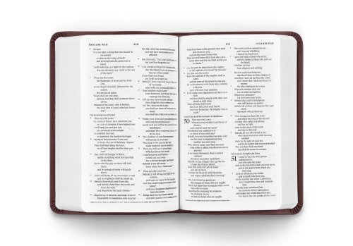 ESV Value Compact Bible (TruTone, Mahogany, Border Design)