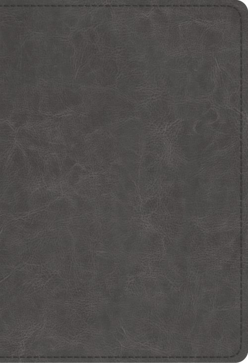 ESV Student Study Bible, Imitation Leather, Gray, Study Notes, Concordance, Maps, Topical Articles