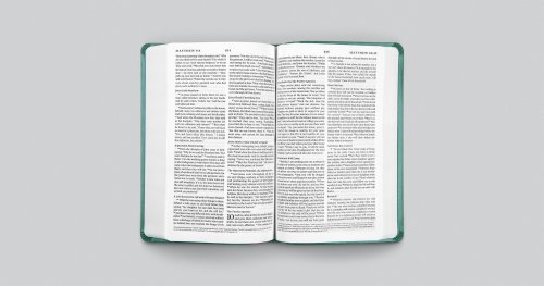 ESV Premium Gift Bible (Trutone, Teal, Floral Design)