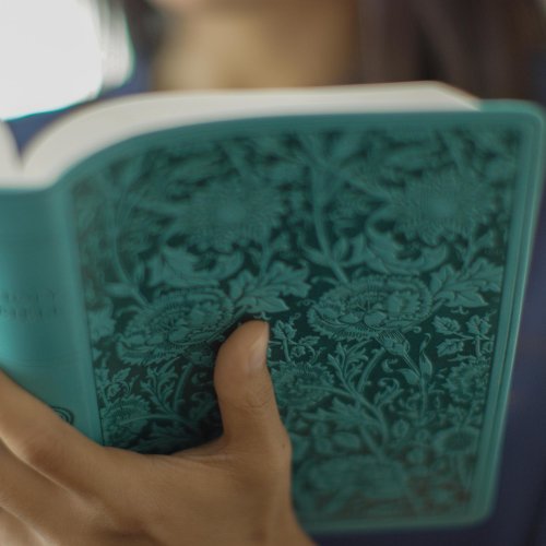 ESV Premium Gift Bible (Trutone, Teal, Floral Design)