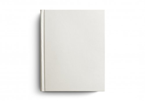 ESV Single Column Journaling Bible