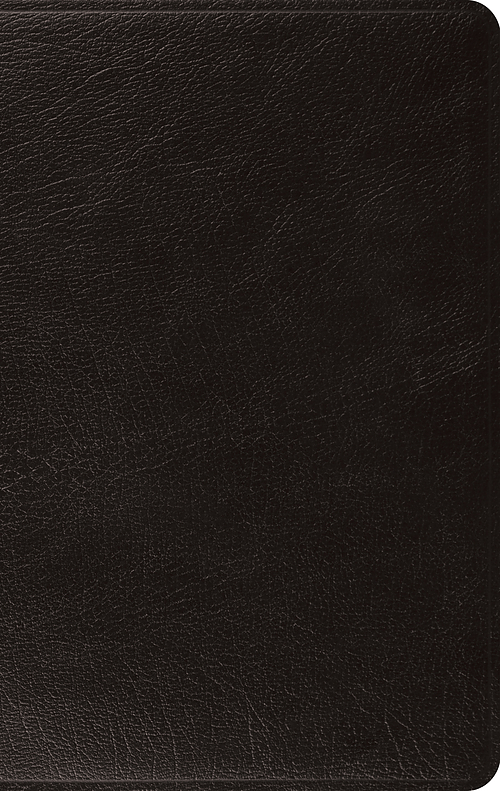 ESV Large Print Thinline Bible (Genuine Leather, Black)