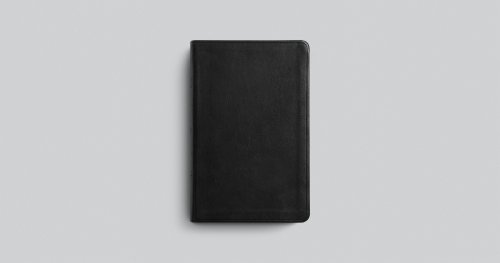 ESV Large Print Value Thinline Bible