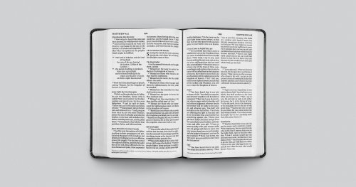 ESV Large Print Value Thinline Bible