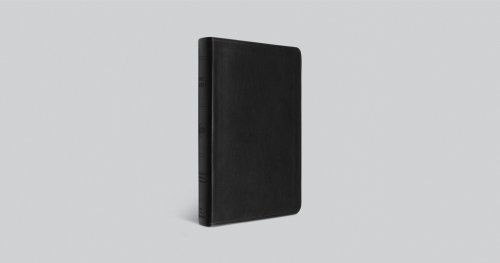 ESV Large Print Value Thinline Bible