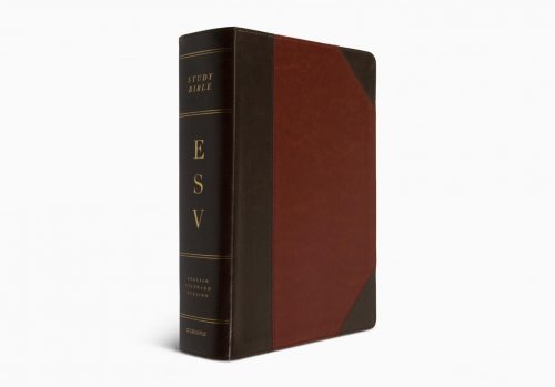 ESV Study Bible, Large Print