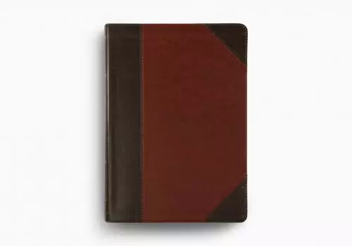 ESV Study Bible, Large Print