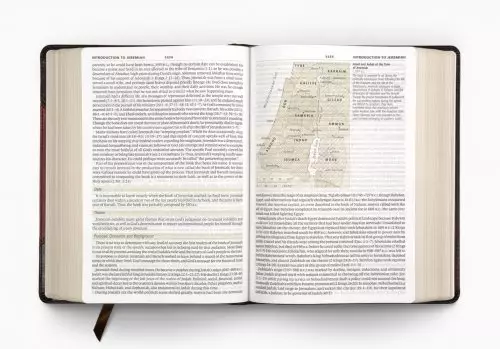 ESV Study Bible, Large Print