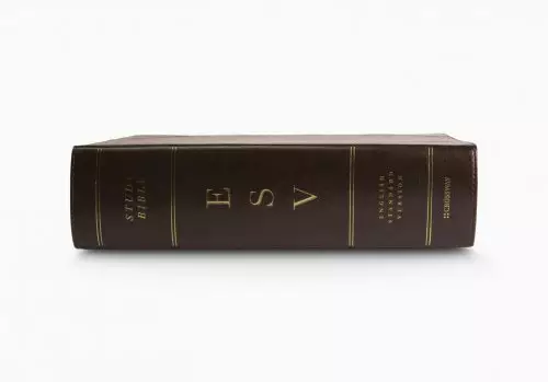 ESV Study Bible, Large Print