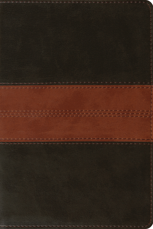 ESV Personal Reference Bible