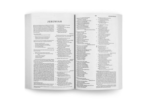 ESV Economy Bible