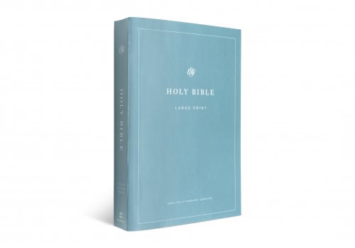 ESV Economy Bible Large Print