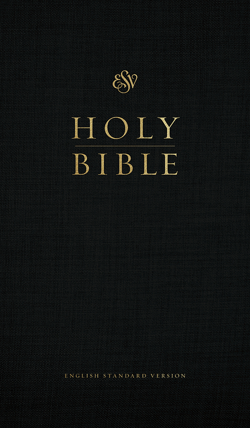 ESV Church Bible (Hardcover, Black)