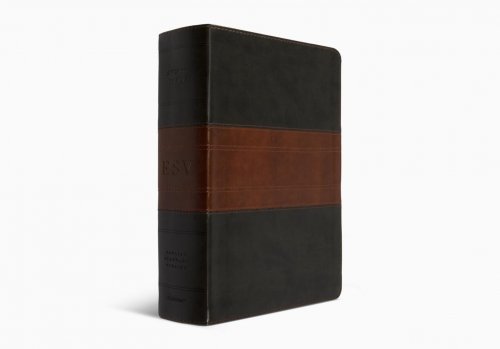 ESV Study Bible, Large Print, Forest/Tan, Trail Design, 20,000+ Study Notes, Concordance, Maps