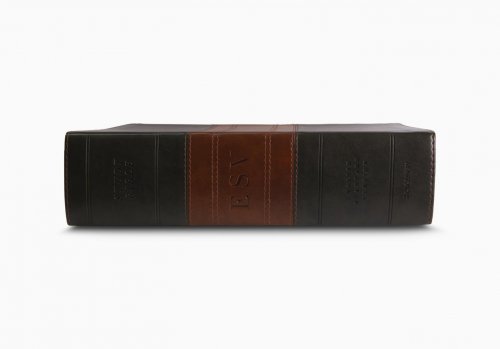 ESV Study Bible, Large Print, Forest/Tan, Trail Design, 20,000+ Study Notes, Concordance, Maps