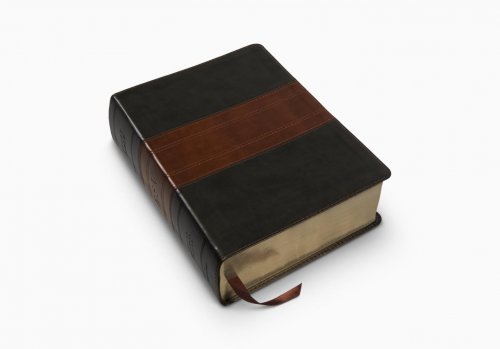 ESV Study Bible, Large Print, Forest/Tan, Trail Design, 20,000+ Study Notes, Concordance, Maps