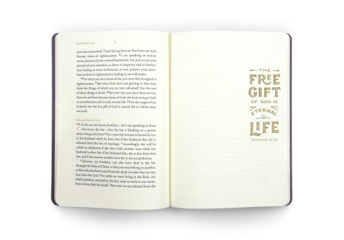 Romans - ESV Illuminated Scripture Journal