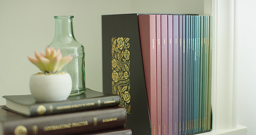 ESV New Testament Illuminated Scripture Journal Set