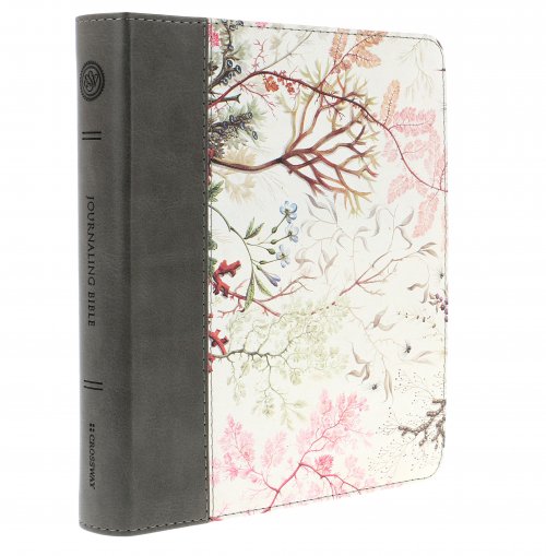 ESV Journaling Bible, Multicoloured, Imitation Leather, Wide Margin, Reading Plan, Book Introductions, Ribbon Marker, Salvation Plan, Helpful Bible Passages