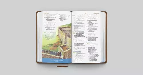 ESV Children's Bible (TruTone, Brown, Let the Children Come)