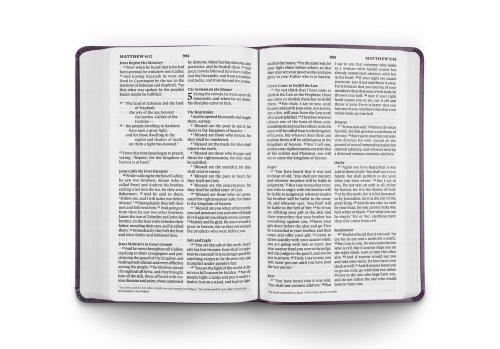 ESV Large Print Value Thinline Bible