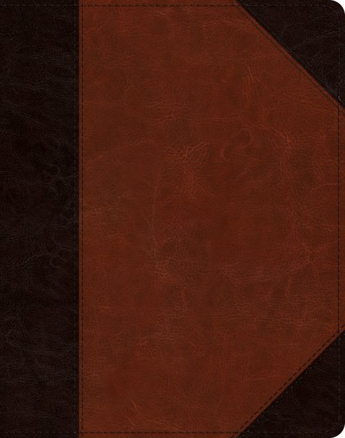 ESV Single Column Journaling Bible (TruTone, Brown/Cordovan, Portfolio Design)