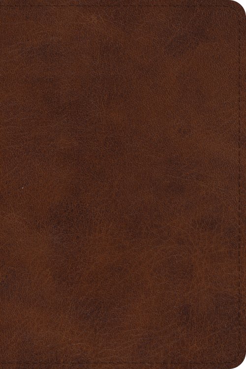 ESV Large Print Bible (TruTone, Deep Brown)