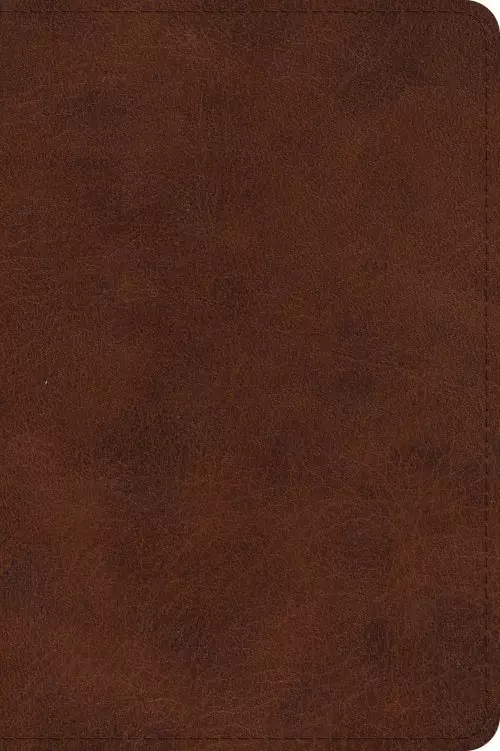 ESV Large Print Bible (TruTone, Deep Brown)