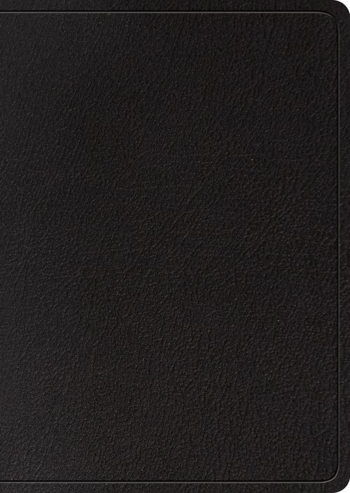 ESV Study Bible, Large Print (Genuine Leather, Black, Indexed)