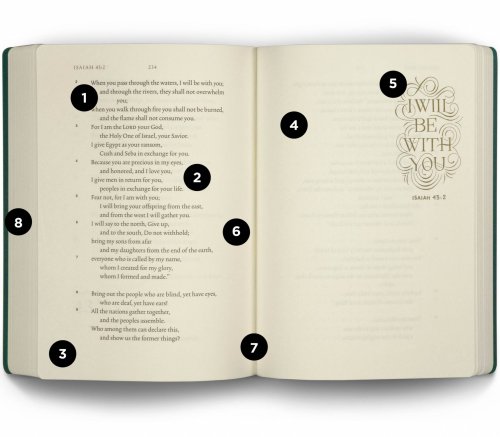 ESV Illuminated Scripture Journal