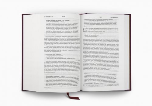 ESV Literary Study Bible (Cloth over Board)