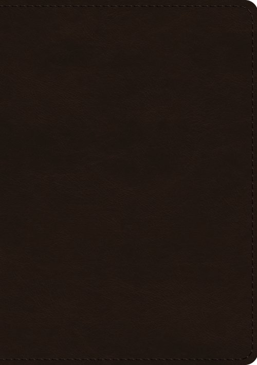 ESV Single Column Journaling Bible, Large Print (TruTone, Deep Brown)