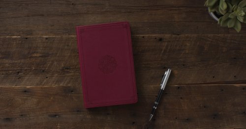 ESV Premium Gift Bible (TruTone, Raspberry, Emblem Design)