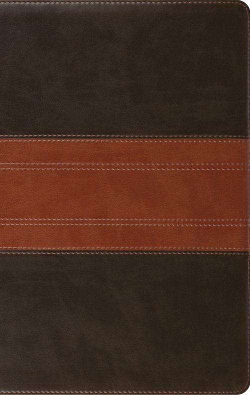 ESV Large Print Personal Size Bible (TruTone, Forest/Tan, Trail Design)