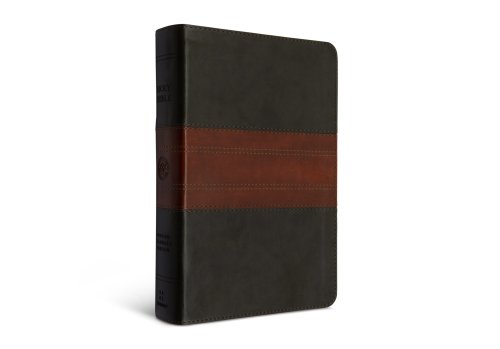 ESV Large Print Personal Size Bible (TruTone, Forest/Tan, Trail Design)