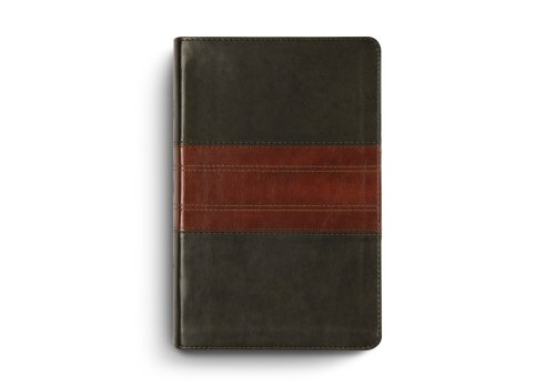 ESV Large Print Personal Size Bible (TruTone, Forest/Tan, Trail Design)