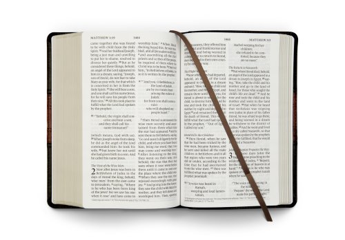 ESV Large Print Personal Size Bible (TruTone, Forest/Tan, Trail Design)