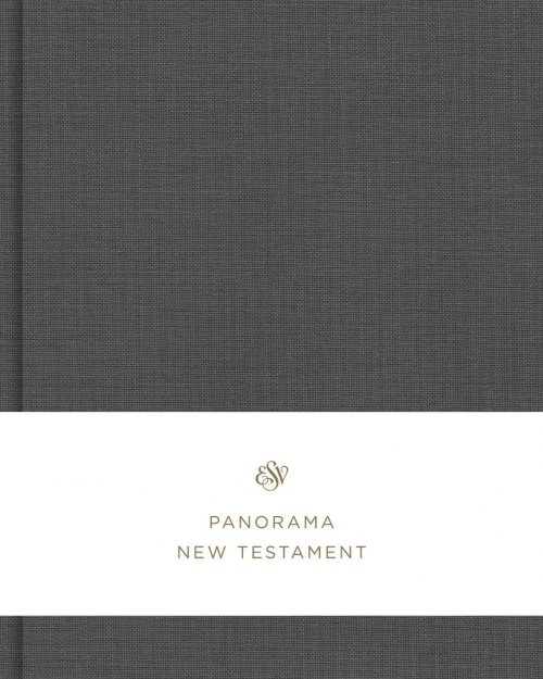 ESV Panorama New Testament (Cloth over Board, Gray)