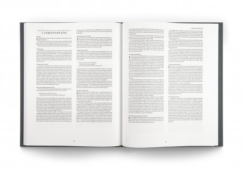 ESV Panorama New Testament (Cloth over Board, Gray)