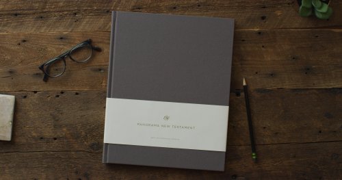 ESV Panorama New Testament (Cloth over Board, Gray)