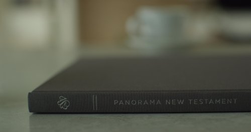 ESV Panorama New Testament (Cloth over Board, Gray)