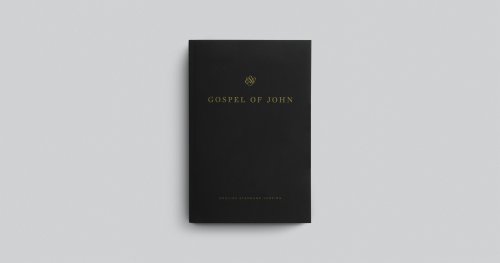 ESV Gospel of John (Paperback, Black)