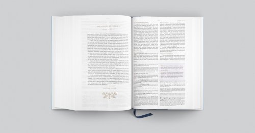 ESV Women's Study Bible, Blue, Hardback, Study Notes, Reflections, Articles, Illustrations, Bible Character Profiles, Maps, Book Introductions, Timelines