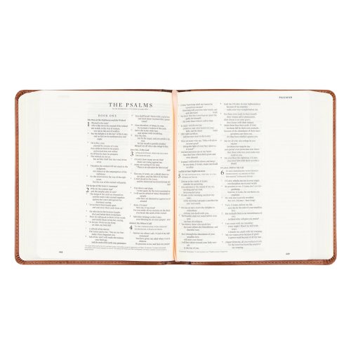 Hosanna Revival ESV Journaling Bible: Sierra Theme