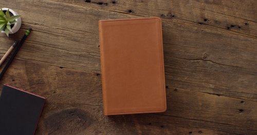 ESV Large Print Value Thinline Bible (TruTone, Camel)